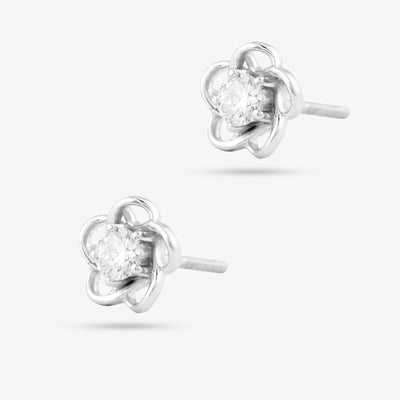 Forget me Not Studs